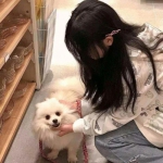 大天使联盟百度版下载